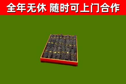 璧山回收海参
